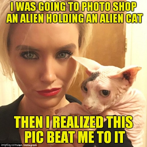 true story... |  I WAS GOING TO PHOTO SHOP AN ALIEN HOLDING AN ALIEN CAT; THEN I REALIZED THIS PIC BEAT ME TO IT | image tagged in true story | made w/ Imgflip meme maker