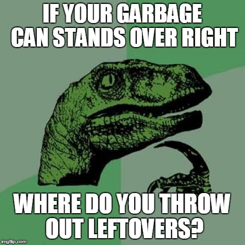 Philosoraptor | IF YOUR GARBAGE CAN STANDS OVER RIGHT; WHERE DO YOU THROW OUT LEFTOVERS? | image tagged in memes,philosoraptor | made w/ Imgflip meme maker