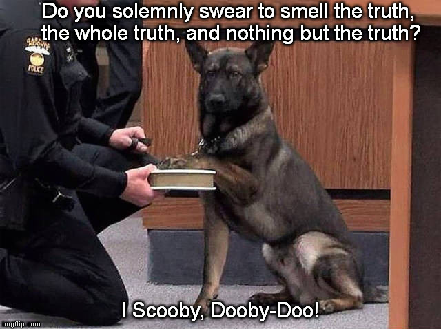 One Day in Court | Do you solemnly swear to smell the truth, the whole truth, and nothing but the truth? I Scooby, Dooby-Doo! | image tagged in oath | made w/ Imgflip meme maker
