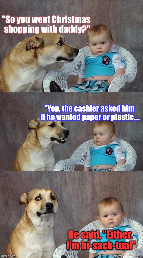Found This Great Bad Pun Dad Joke: | "So you went Christmas shopping with daddy?"; "Yep, the cashier asked him if he wanted paper or plastic.... He said, "Either. I'm bi-sack-tual" | image tagged in memes,dad joke dog,christmas shopping,funny memes | made w/ Imgflip meme maker
