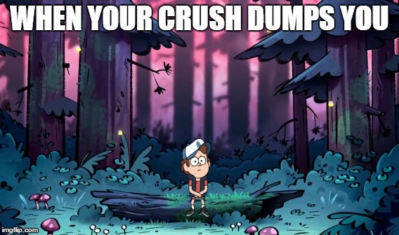 when your crush dumps you | WHEN YOUR CRUSH DUMPS YOU | image tagged in gravity falls | made w/ Imgflip meme maker