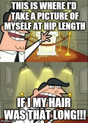 This Is Where I'd Put My Trophy If I Had One Meme | THIS IS WHERE I'D TAKE A PICTURE OF MYSELF AT HIP LENGTH; IF I MY HAIR WAS THAT LONG!!! | image tagged in memes,this is where i'd put my trophy if i had one | made w/ Imgflip meme maker