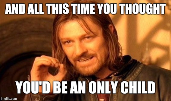 One Does Not Simply Meme | AND ALL THIS TIME YOU THOUGHT YOU'D BE AN ONLY CHILD | image tagged in memes,one does not simply | made w/ Imgflip meme maker