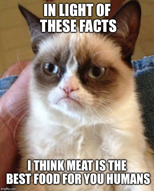 Grumpy Cat Meme | IN LIGHT OF THESE FACTS I THINK MEAT IS THE BEST FOOD FOR YOU HUMANS | image tagged in memes,grumpy cat | made w/ Imgflip meme maker