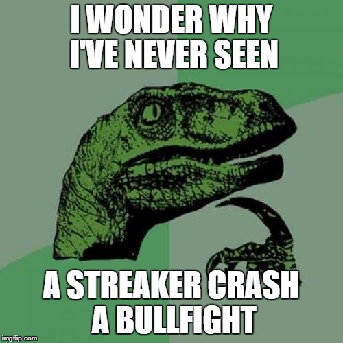 Philosoraptor | I WONDER WHY I'VE NEVER SEEN; A STREAKER CRASH A BULLFIGHT | image tagged in memes,philosoraptor | made w/ Imgflip meme maker