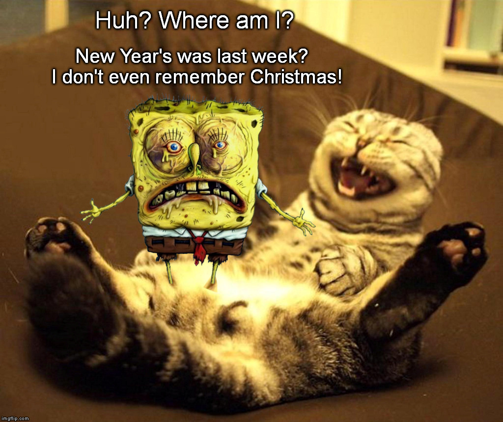 Party On, Dude! | Huh? Where am I? New Year's was last week?  I don't even remember Christmas! | image tagged in drunk,stoned | made w/ Imgflip meme maker