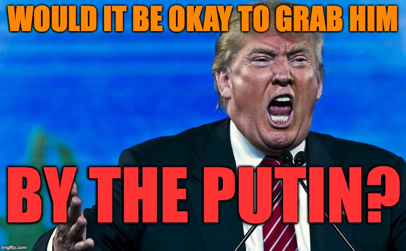 Pace_Yourself_Donald | WOULD IT BE OKAY TO GRAB HIM; BY THE PUTIN? | image tagged in pace_yourself_donald | made w/ Imgflip meme maker