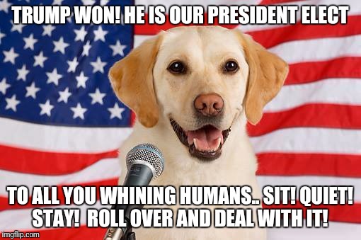 Vote for Ford! | TRUMP WON!
HE IS OUR PRESIDENT ELECT; TO ALL YOU WHINING HUMANS..
SIT! QUIET! STAY! 
ROLL OVER AND DEAL WITH IT! | image tagged in vote for ford | made w/ Imgflip meme maker