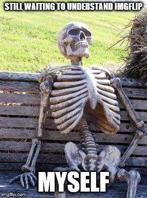 Waiting Skeleton Meme | STILL WAITING TO UNDERSTAND IMGFLIP MYSELF | image tagged in memes,waiting skeleton | made w/ Imgflip meme maker