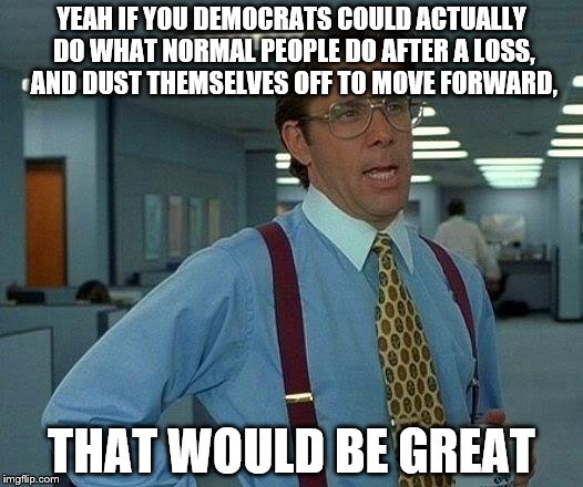 That Would Be Great | YEAH IF YOU DEMOCRATS COULD ACTUALLY DO WHAT NORMAL PEOPLE DO AFTER A LOSS, AND DUST THEMSELVES OFF TO MOVE FORWARD, THAT WOULD BE GREAT | image tagged in memes,that would be great | made w/ Imgflip meme maker