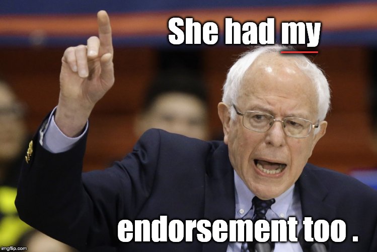 Bern, feel the burn? | She had my endorsement too . __ | image tagged in bern feel the burn? | made w/ Imgflip meme maker
