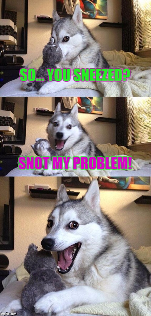 Bad Pun Dog | SO... YOU SNEEZED? SNOT MY PROBLEM! | image tagged in memes,bad pun dog | made w/ Imgflip meme maker