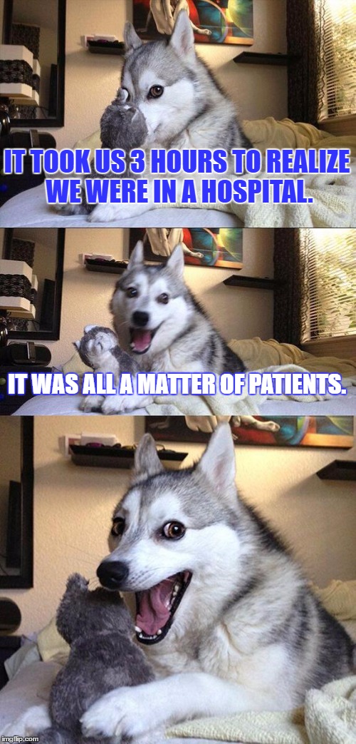 Patience  | IT TOOK US 3 HOURS TO REALIZE WE WERE IN A HOSPITAL. IT WAS ALL A MATTER OF PATIENTS. | image tagged in memes,bad pun dog | made w/ Imgflip meme maker