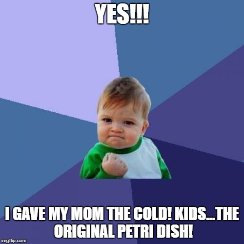 Success Kid | YES!!! I GAVE MY MOM THE COLD!
KIDS...THE ORIGINAL PETRI DISH! | image tagged in memes,success kid | made w/ Imgflip meme maker
