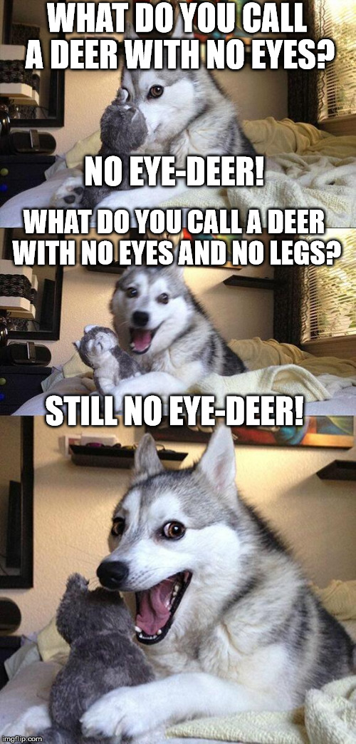 more 2 in 1 bad puns, because socrates said so! | WHAT DO YOU CALL A DEER WITH NO EYES? NO EYE-DEER! WHAT DO YOU CALL A DEER WITH NO EYES AND NO LEGS? STILL NO EYE-DEER! | image tagged in memes,bad pun dog | made w/ Imgflip meme maker