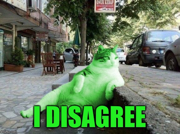 RayCat relaxing | I DISAGREE | image tagged in raycat relaxing | made w/ Imgflip meme maker