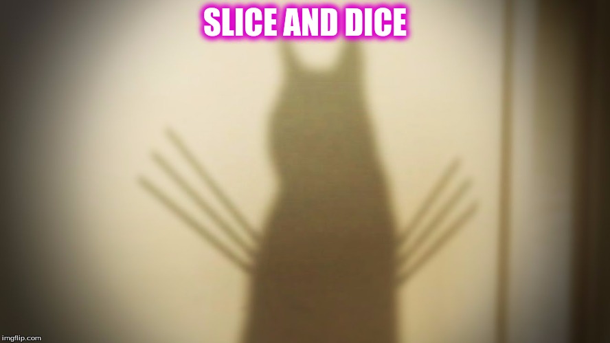 SLICE AND DICE | made w/ Imgflip meme maker
