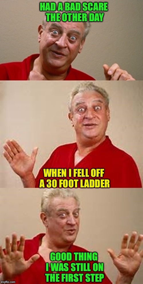 bad pun Dangerfield  | HAD A BAD SCARE THE OTHER DAY; WHEN I FELL OFF A 30 FOOT LADDER; GOOD THING I WAS STILL ON THE FIRST STEP | image tagged in bad pun dangerfield | made w/ Imgflip meme maker