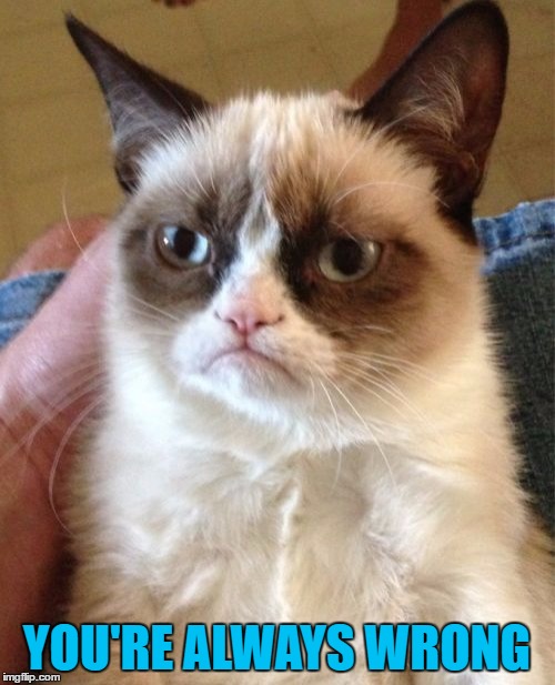 Grumpy Cat Meme | YOU'RE ALWAYS WRONG | image tagged in memes,grumpy cat | made w/ Imgflip meme maker