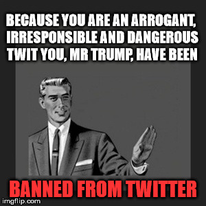 Trump Twit | BECAUSE YOU ARE AN ARROGANT, IRRESPONSIBLE AND DANGEROUS TWIT YOU, MR TRUMP, HAVE BEEN; BANNED FROM TWITTER | image tagged in memes,kill yourself guy | made w/ Imgflip meme maker