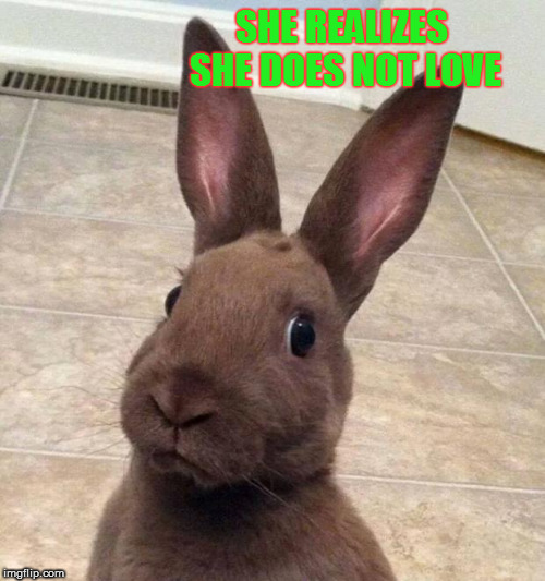 Really? Rabbit | SHE REALIZES SHE DOES NOT LOVE | image tagged in really rabbit | made w/ Imgflip meme maker