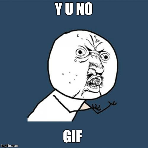 Y U No | Y U NO; GIF | image tagged in memes,y u no | made w/ Imgflip meme maker