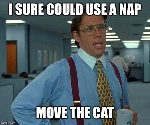 That Would Be Great Meme | I SURE COULD USE A NAP MOVE THE CAT | image tagged in memes,that would be great | made w/ Imgflip meme maker