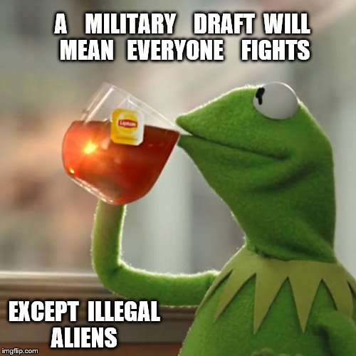 But That's None Of My Business | A    MILITARY    DRAFT  WILL   MEAN   EVERYONE    FIGHTS; EXCEPT  ILLEGAL  ALIENS | image tagged in memes,but thats none of my business,kermit the frog | made w/ Imgflip meme maker