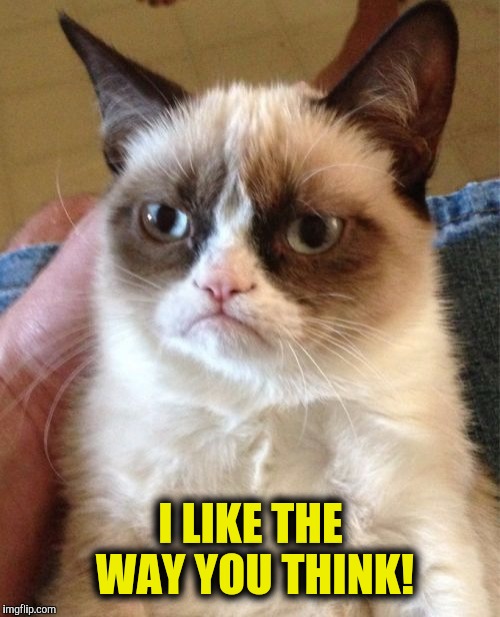 Grumpy Cat Meme | I LIKE THE WAY YOU THINK! | image tagged in memes,grumpy cat | made w/ Imgflip meme maker