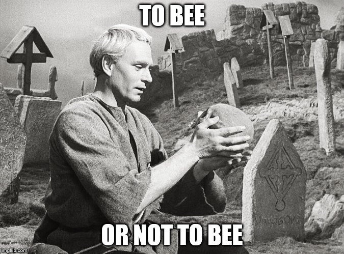 Hamlet | TO BEE OR NOT TO BEE | image tagged in hamlet | made w/ Imgflip meme maker