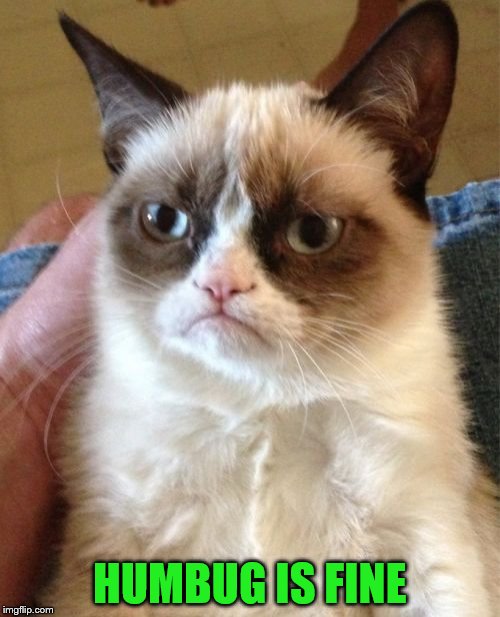 Grumpy Cat Meme | HUMBUG IS FINE | image tagged in memes,grumpy cat | made w/ Imgflip meme maker