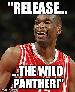 "RELEASE... ...THE WILD PANTHER!" | made w/ Imgflip meme maker