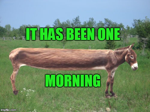 And it's not even noon yet | IT HAS BEEN ONE; MORNING | image tagged in memes,donkey,bad day,long day | made w/ Imgflip meme maker