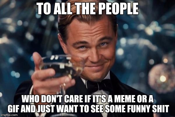 Leonardo Dicaprio Cheers | TO ALL THE PEOPLE; WHO DON'T CARE IF IT'S A MEME OR A GIF AND JUST WANT TO SEE SOME FUNNY SHIT | image tagged in memes,leonardo dicaprio cheers | made w/ Imgflip meme maker
