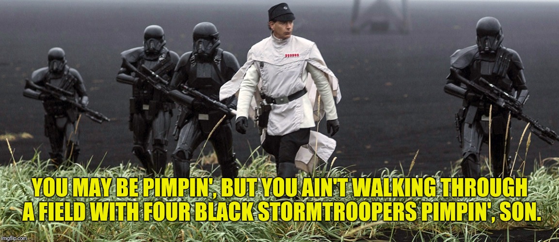 I Got 99 Problems, But a Rogue Ain't One | YOU MAY BE PIMPIN', BUT YOU AIN'T WALKING THROUGH A FIELD WITH FOUR BLACK STORMTROOPERS PIMPIN', SON. | image tagged in rogue one,star wars,pimpin,pimp,star wars stormtroopers don't always miss,stormtroopers | made w/ Imgflip meme maker