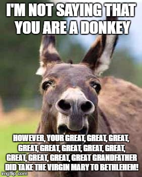  I'M NOT SAYING THAT YOU ARE A DONKEY; HOWEVER, YOUR GREAT, GREAT, GREAT, GREAT, GREAT, GREAT, GREAT, GREAT, GREAT, GREAT, GREAT, GREAT GRANDFATHER DID TAKE THE VIRGIN MARY TO BETHLEHEM! | image tagged in poker,donkey | made w/ Imgflip meme maker