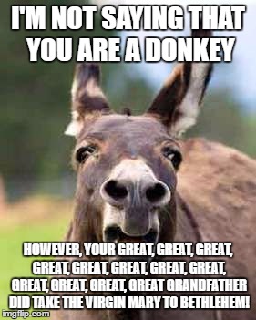 I'M NOT SAYING THAT YOU ARE A DONKEY; HOWEVER, YOUR GREAT, GREAT, GREAT, GREAT, GREAT, GREAT, GREAT, GREAT, GREAT, GREAT, GREAT, GREAT GRANDFATHER DID TAKE THE VIRGIN MARY TO BETHLEHEM! | image tagged in poker,donkey | made w/ Imgflip meme maker