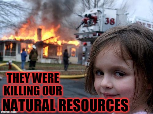 Disaster Girl Meme | THEY WERE KILLING OUR; NATURAL RESOURCES | image tagged in memes,disaster girl | made w/ Imgflip meme maker