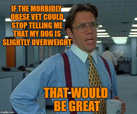 That Would Be Great Meme | IF THE MORBIDLY OBESE VET COULD STOP TELLING ME THAT MY DOG IS SLIGHTLY OVERWEIGHT; THAT WOULD BE GREAT | image tagged in memes,that would be great | made w/ Imgflip meme maker