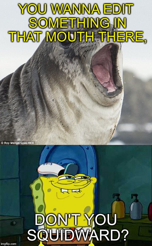 Succ | YOU WANNA EDIT SOMETHING IN THAT MOUTH THERE, DON'T YOU SQUIDWARD? | image tagged in dont you squidward,joke seal,meme | made w/ Imgflip meme maker