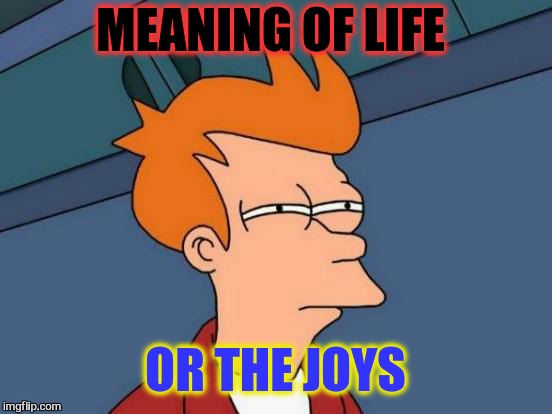 Futurama Fry Meme | MEANING OF LIFE OR THE JOYS | image tagged in memes,futurama fry | made w/ Imgflip meme maker