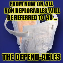 FROM NOW ON, ALL NON DEPLORABLES WILL BE REFERRED TO  AS ... THE DEPEND-ABLES | image tagged in non deplorables | made w/ Imgflip meme maker