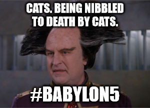 CATS. BEING NIBBLED TO DEATH BY CATS. #BABYLON5 | made w/ Imgflip meme maker
