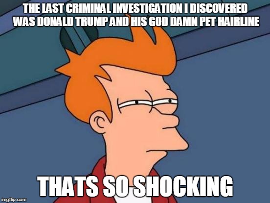 Futurama Fry | THE LAST CRIMINAL INVESTIGATION I DISCOVERED WAS DONALD TRUMP AND HIS GOD DAMN PET HAIRLINE; THATS SO SHOCKING | image tagged in memes,futurama fry | made w/ Imgflip meme maker