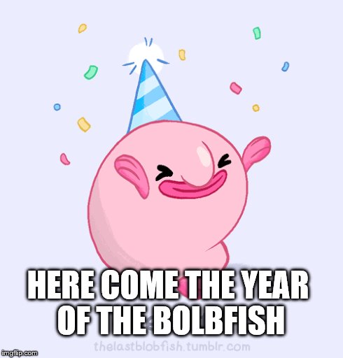 blobfish.exe have stop working | HERE COME THE YEAR OF THE BOLBFISH | image tagged in 2017,new years eve,blobfish,party,memes will chance | made w/ Imgflip meme maker
