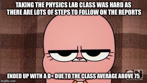 Physics Lab Final Grade | TAKING THE PHYSICS LAB CLASS WAS HARD AS THERE ARE LOTS OF STEPS TO FOLLOW ON THE REPORTS; ENDED UP WITH A D+ DUE TO THE CLASS AVERAGE ABOVE 75 | image tagged in anais' grumpy face,college,memes | made w/ Imgflip meme maker