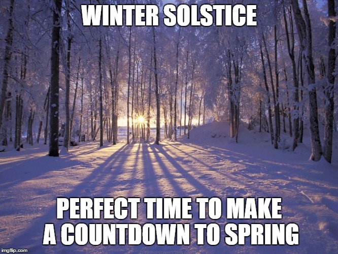 chestnut roasting on a open fire, jack frost nipping at my nose | WINTER SOLSTICE; PERFECT TIME TO MAKE A COUNTDOWN TO SPRING | image tagged in memes | made w/ Imgflip meme maker