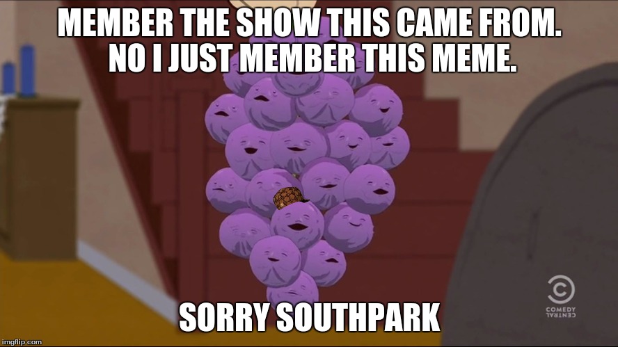 Member Berries | MEMBER THE SHOW THIS CAME FROM. NO I JUST MEMBER THIS MEME. SORRY SOUTHPARK | image tagged in memes,member berries,scumbag | made w/ Imgflip meme maker