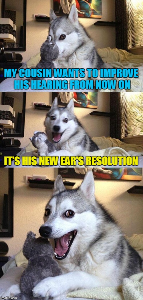 Bad Pun Dog Meme | MY COUSIN WANTS TO IMPROVE HIS HEARING FROM NOW ON; IT'S HIS NEW EAR'S RESOLUTION | image tagged in memes,bad pun dog | made w/ Imgflip meme maker