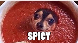 Sauce it up pupper | SPICY | image tagged in sauce it up pupper | made w/ Imgflip meme maker